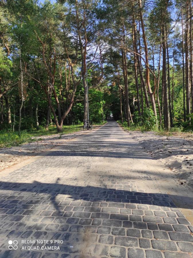 Quiet Resort Миеленко Екстериор снимка